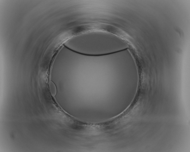 X0000113760785200910141047