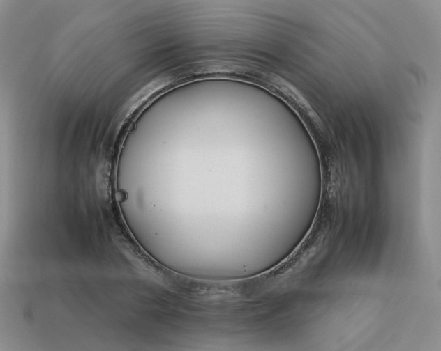 X0000113760786200910141047