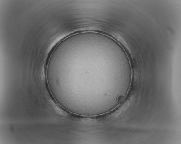 X0000113760789200910141047