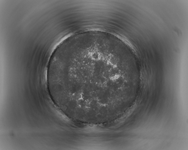 X0000113760790200910141047