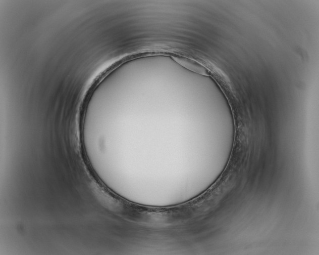 X0000113760792200910141047