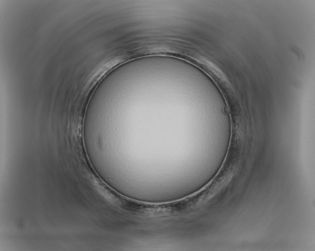 X0000113760793200910141047