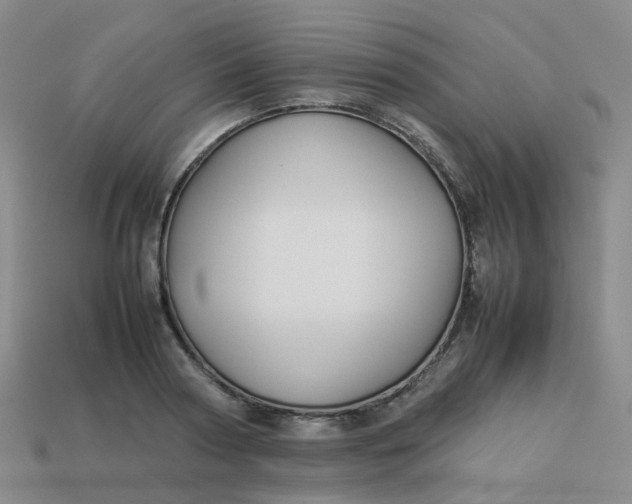 X0000113760794200910141047