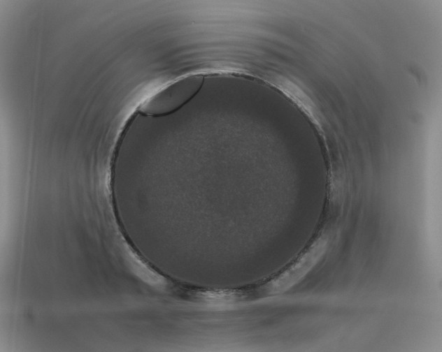 X0000113760797200910141047