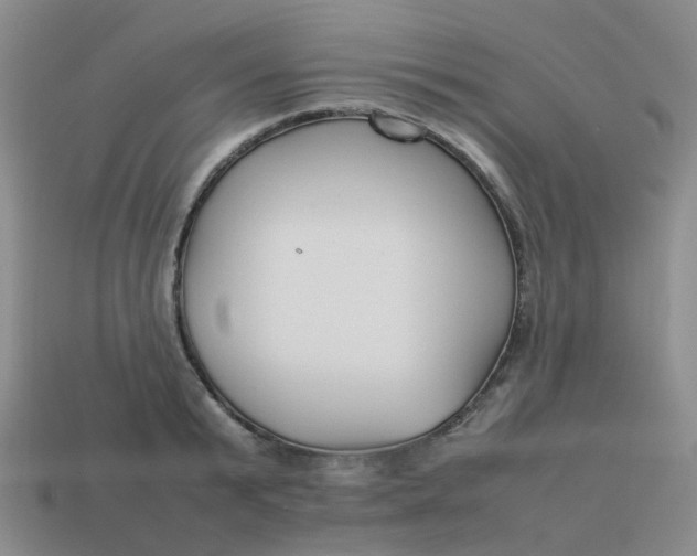 X0000113760799200910141047