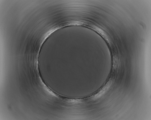 X0000113760802200910141047