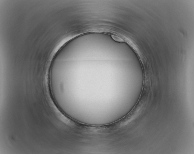 X0000113760803200910141047