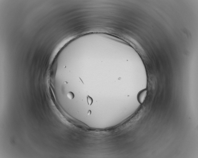 X0000113760804200910141047