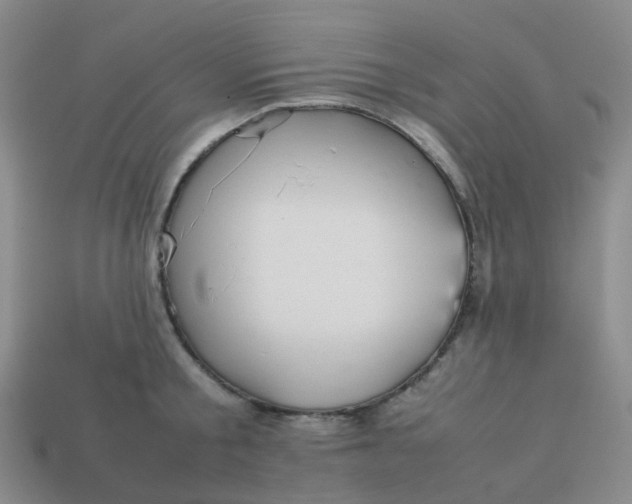 X0000113760805200910141047