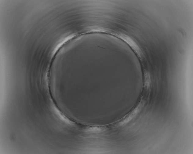 X0000113760806200910141047