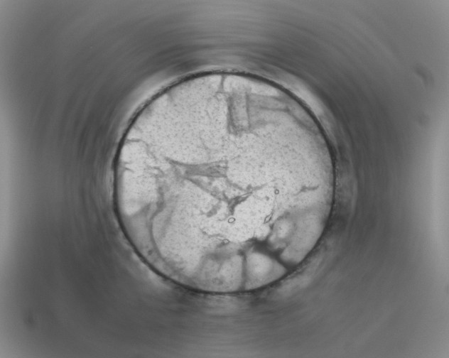 X0000113760807200910141047