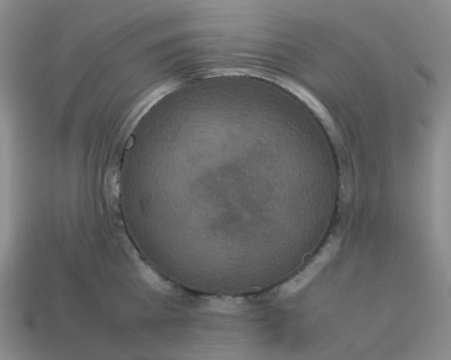 X0000113760809200910141047