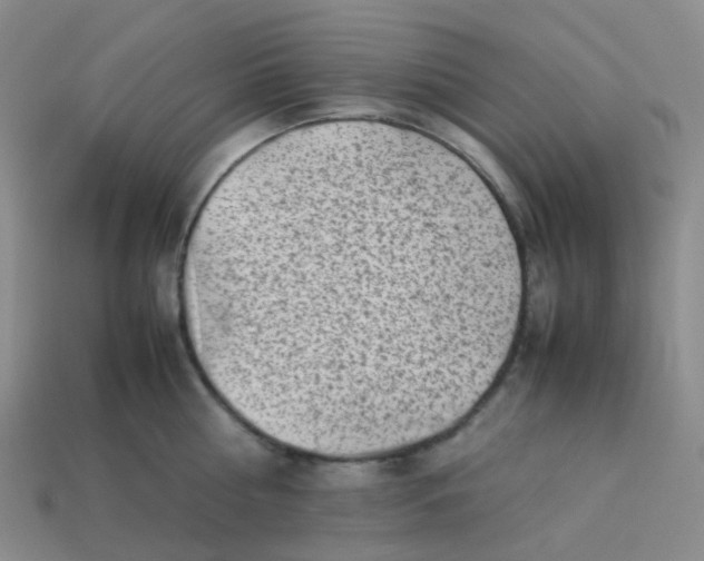 X0000113760810200910141047