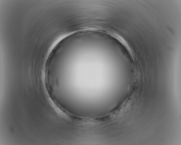 X0000113760811200910141047