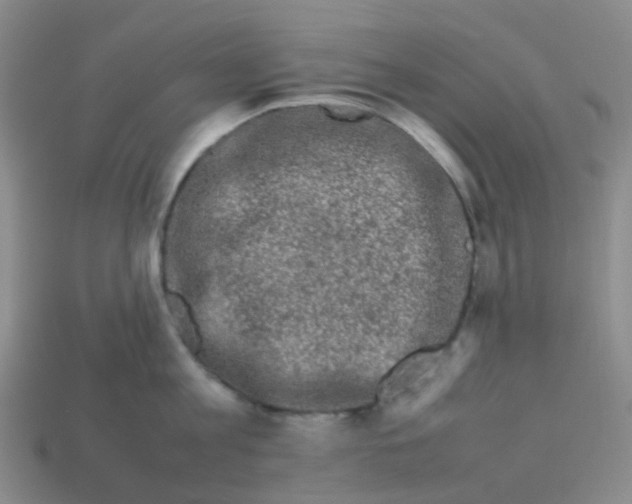 X0000113760813200910141047