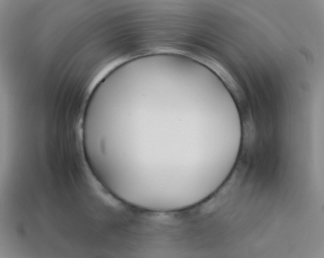 X0000113760814200910141047