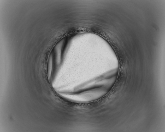 X0000113760817200910141046