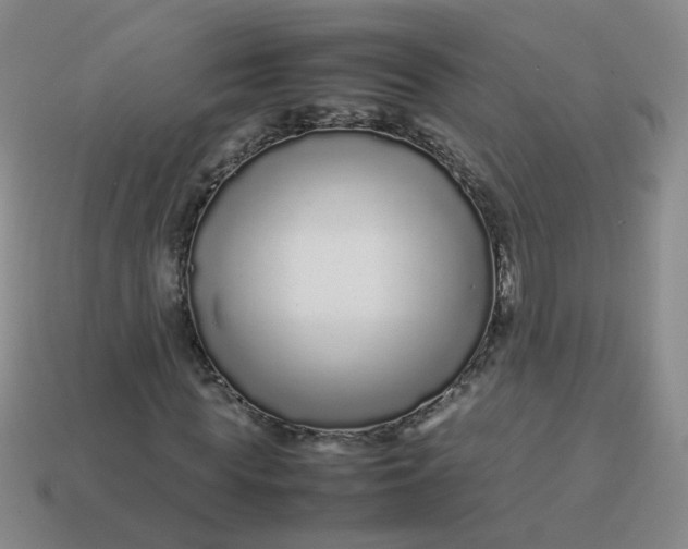 X0000113760819200910141046