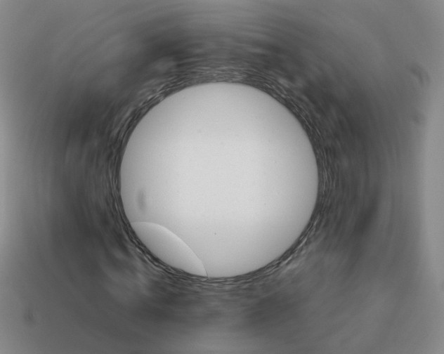 X0000113760820200910141046