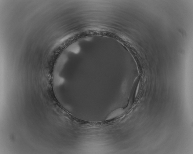 X0000113760822200910141046