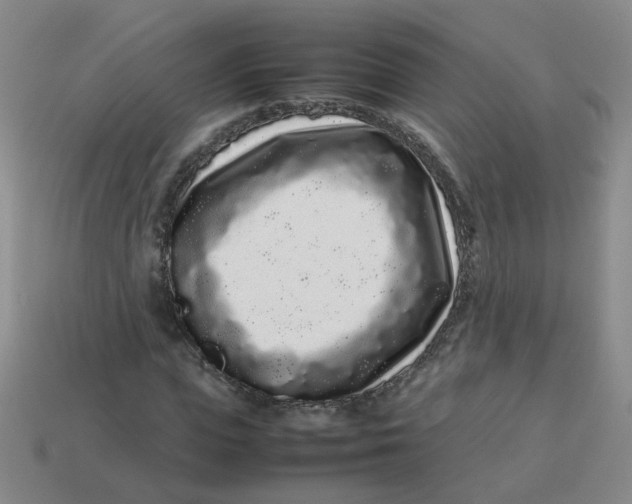 X0000113760823200910141046