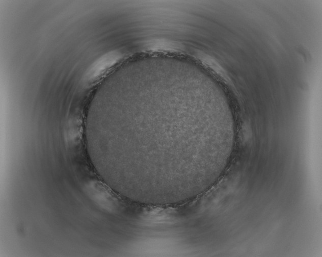 X0000113760824200910141046