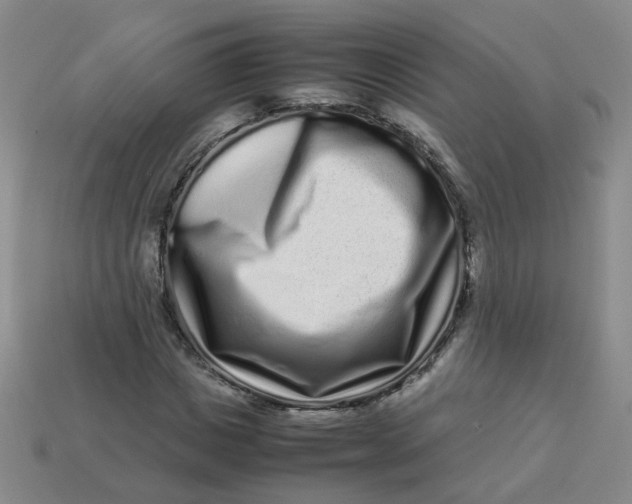 X0000113760825200910141046