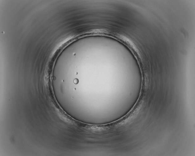 X0000113760827200910141046