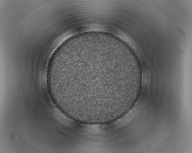 X0000113760828200910141046