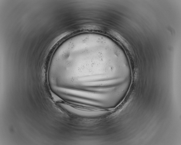 X0000113760829200910141046