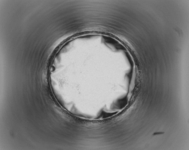 X0000113760830200910141046