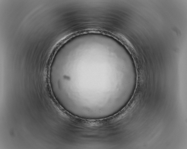 X0000113760831200910141046