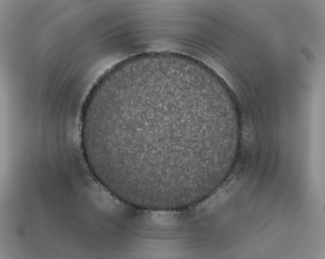 X0000113760832200910141046