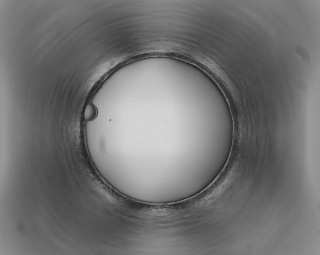 X0000113760834200910141046