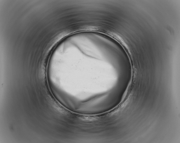 X0000113760835200910141046