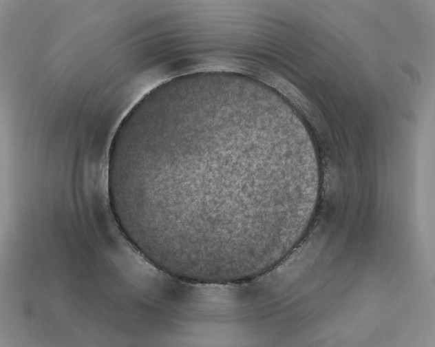 X0000113760836200910141046