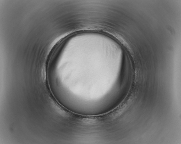 X0000113760838200910141046