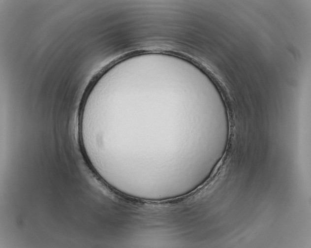 X0000113760840200910141046