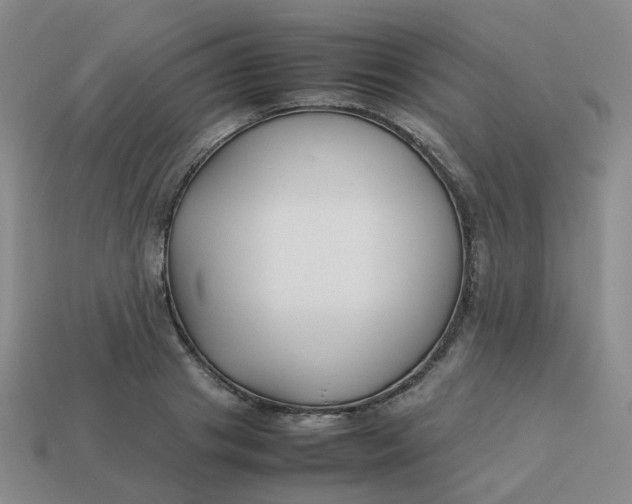 X0000113760841200910141046