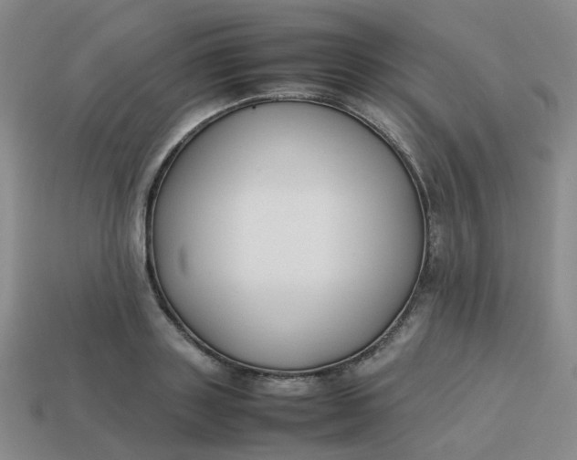 X0000113760843200910141046