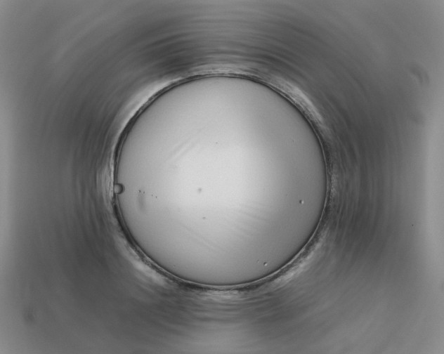 X0000113760844200910141046