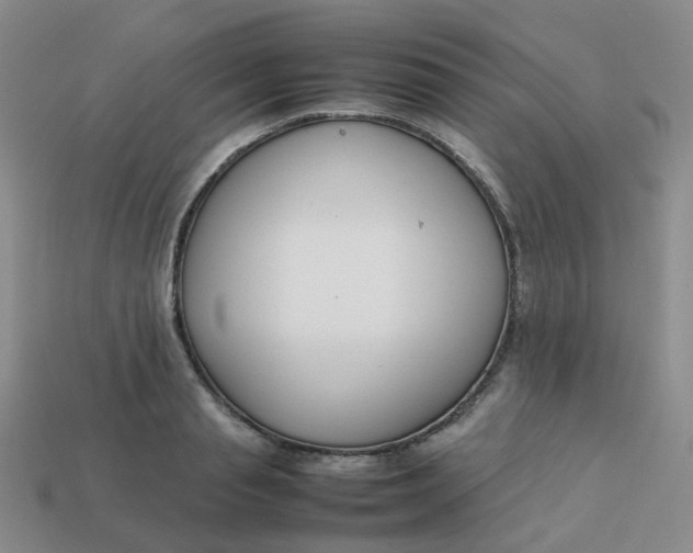 X0000113760845200910141046