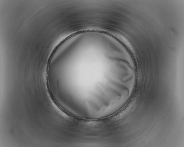 X0000113760847200910141046