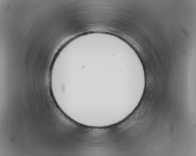 X0000113760848200910141046