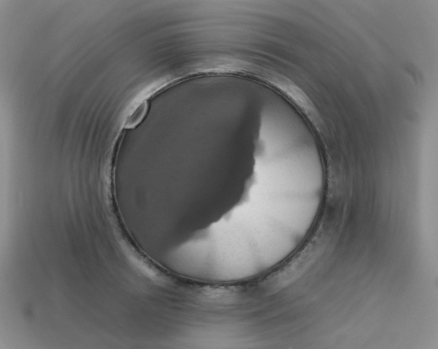 X0000113760850200910141047