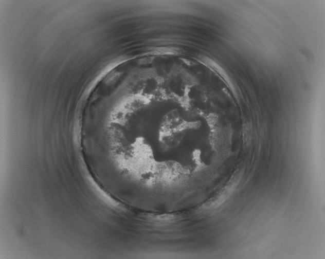 X0000113760851200910141047