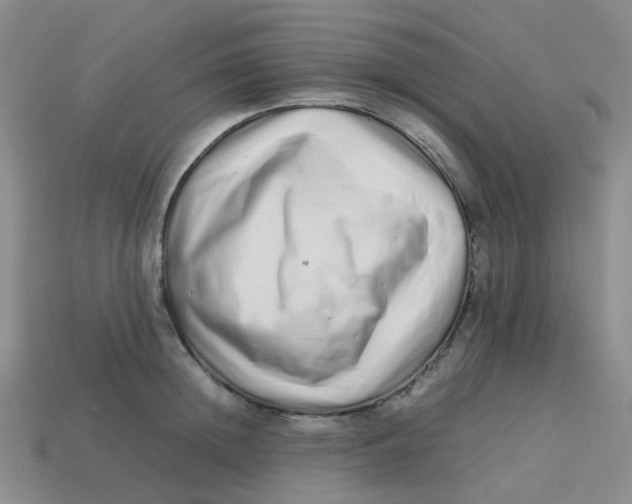 X0000113760852200910141047