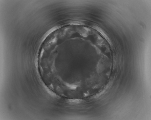 X0000113760853200910141047