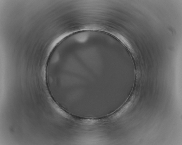 X0000113760854200910141047