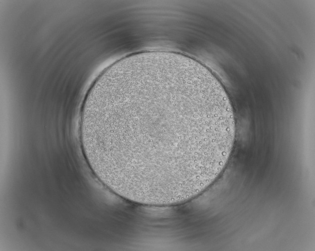 X0000113760856200910141047